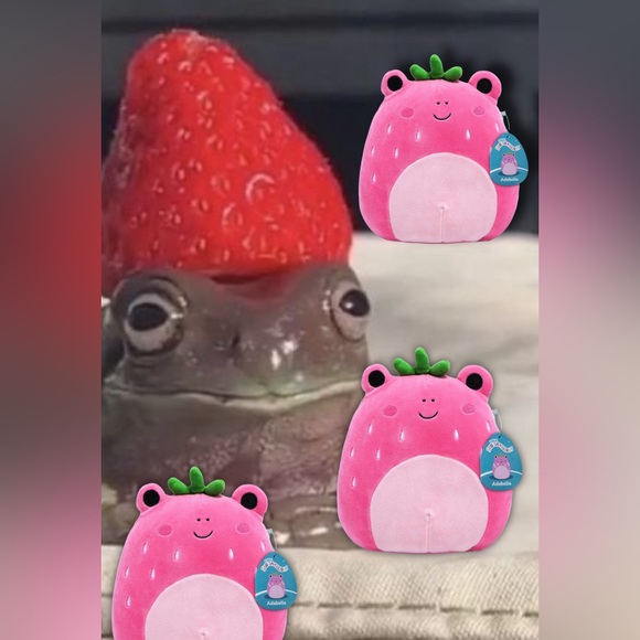 🍓🐸 Squishmallows Adabelle Strawberry Frog Boxlunch Exclusive 8” plush kawaii - Picture 3 of 9